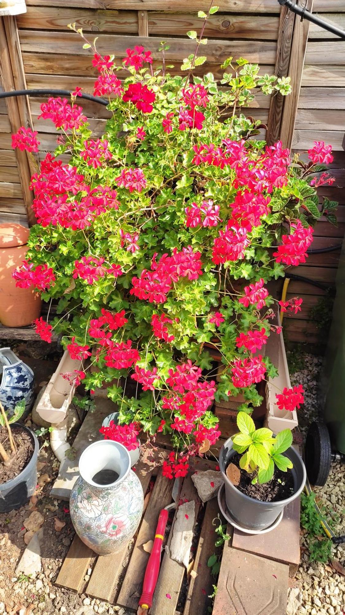 Un Deux Pieces Et Un Jardin A Villejuif Exteriör bild